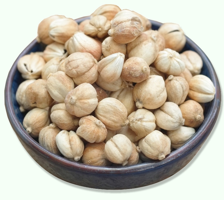 圓(白)豆蔻進口報關需準備什么？與清關過程